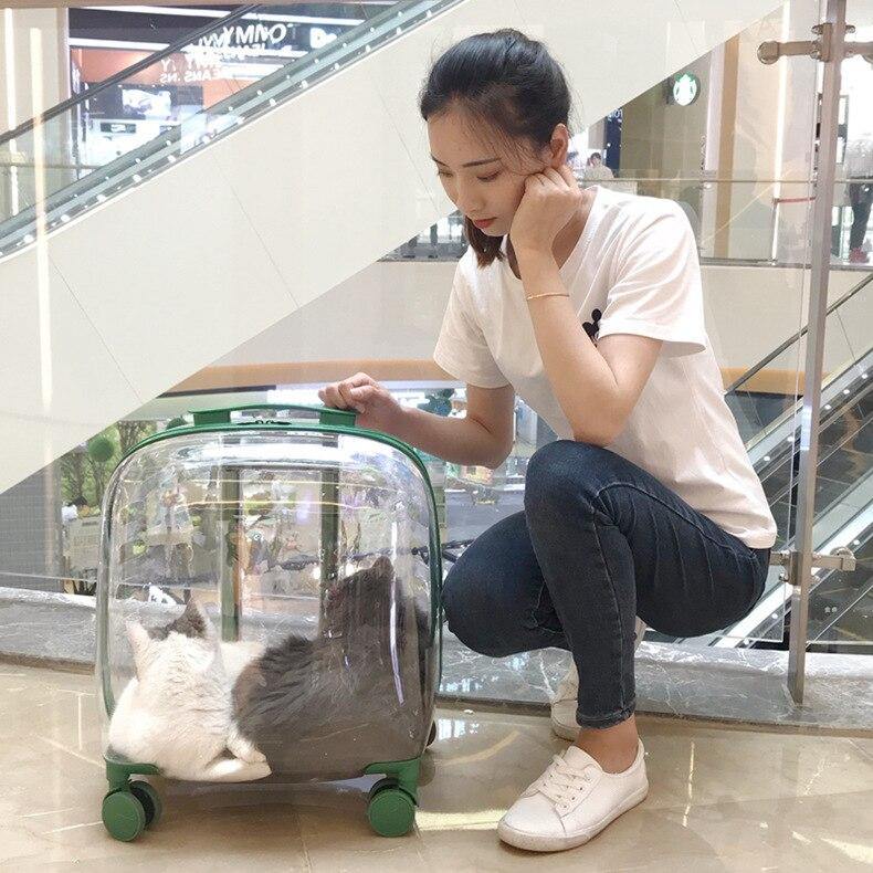 Transparent Pet Travel Trolley Capsule - Image 5