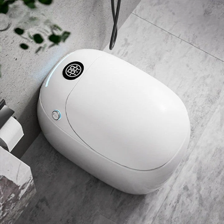 Ultra Sleek Smart Heated Seat Egg-Shaped Hygiene Toilet