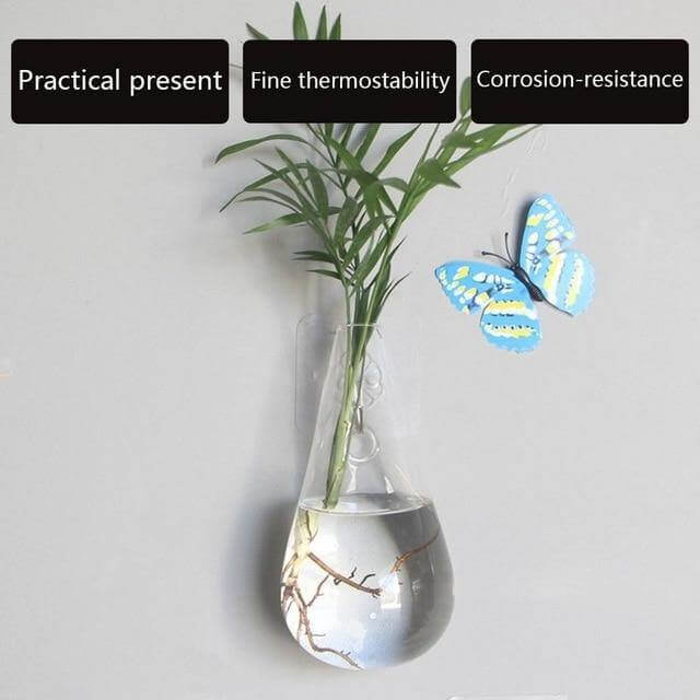 Wall Hanging Hydroponic Glass Vases - Image 4
