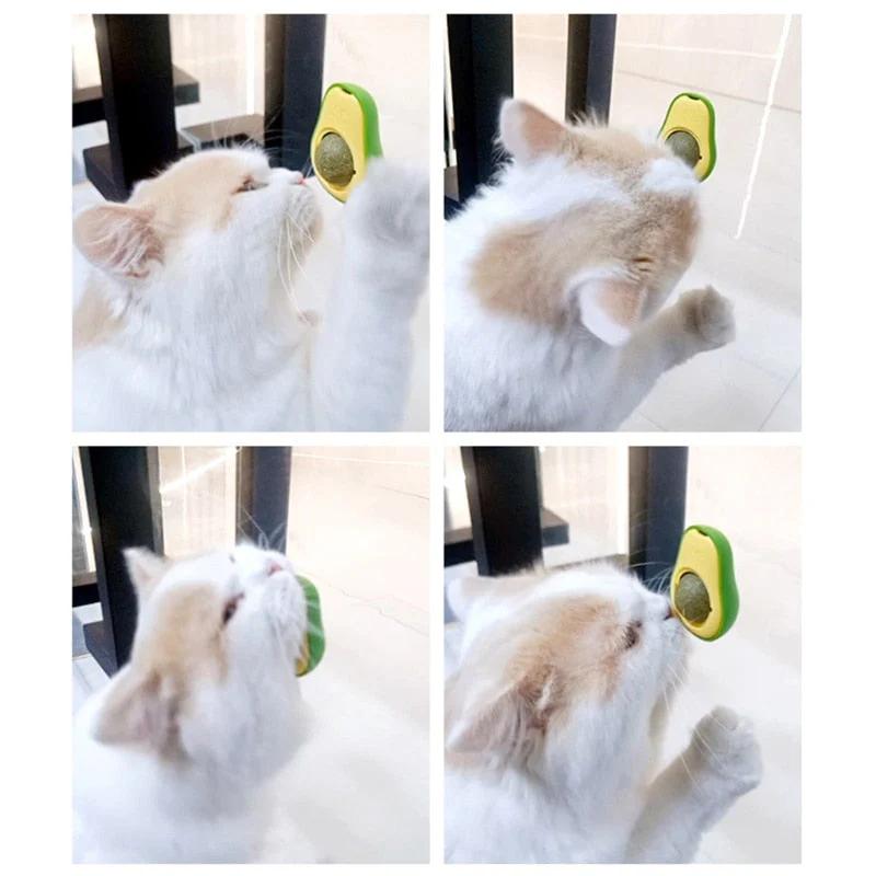 Wall-Mounted Cat Avocado Toy Ball - Image 5