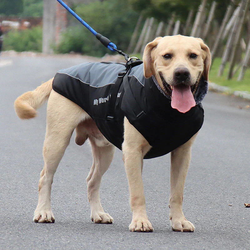 Waterproof Winter Dog Jackets - Image 2