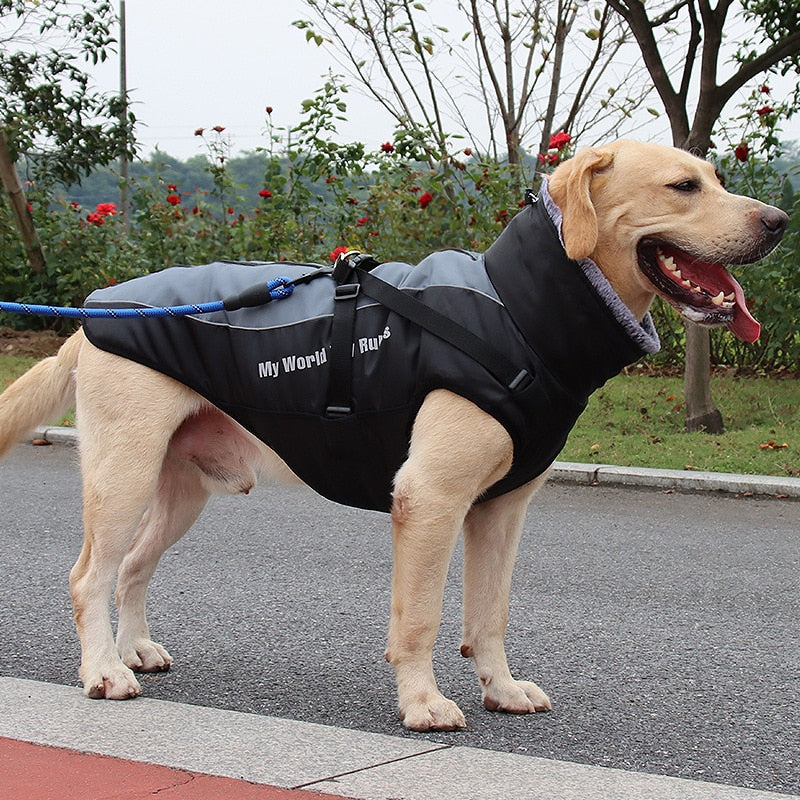 Waterproof Winter Dog Jackets - Image 3