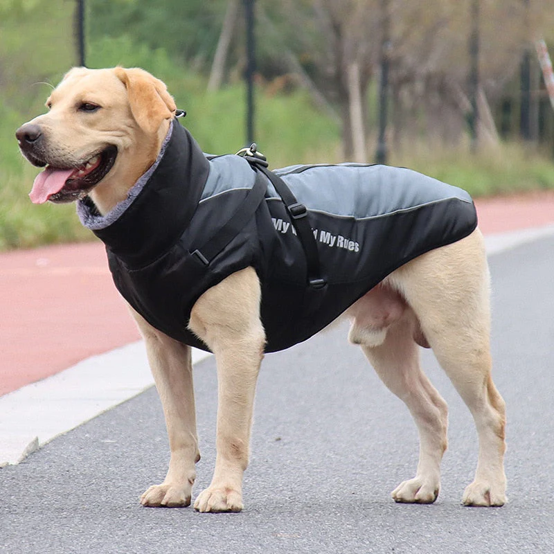 Waterproof Winter Dog Jackets - Image 4