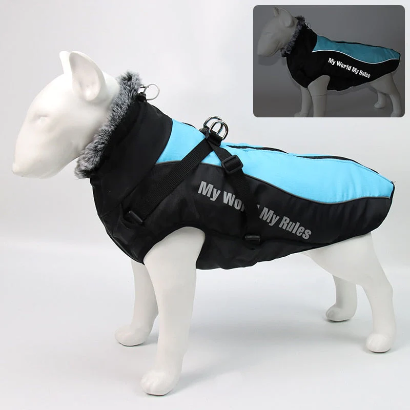 Waterproof Winter Dog Jackets - Image 8