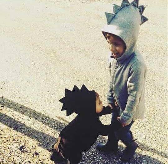 Winter Dinasour Hoodies for Kids - Image 7